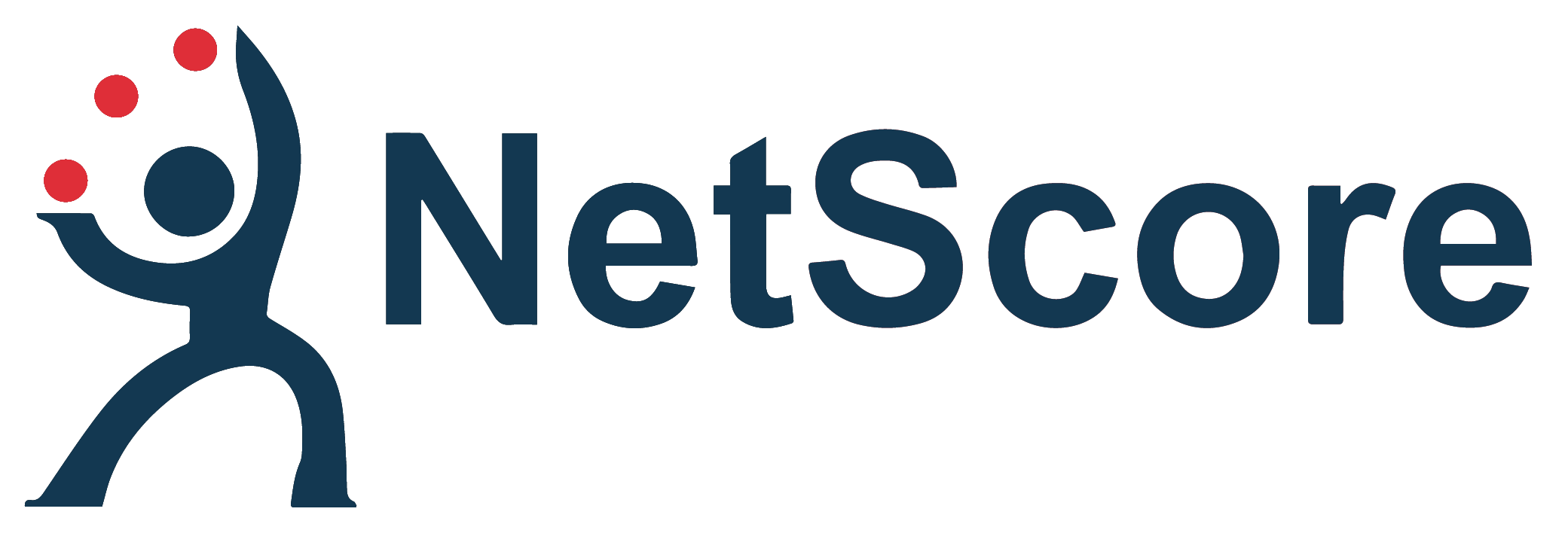 NetScore code repository